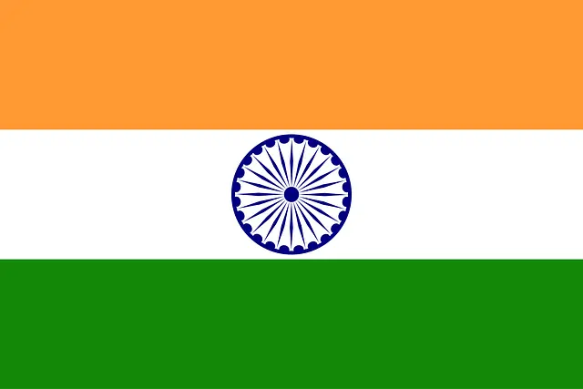 indian-national-seo